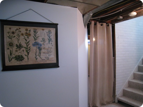 IMG_2824 IMG_2824