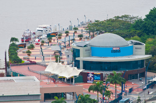 MDP_SONY_DSC_4997