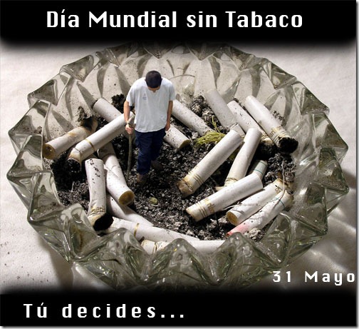 dia mundial sin tabaco cosasdivertidas (4) dia mundial sin tabaco cosasdivertidas (4)