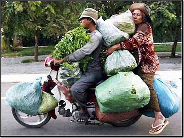 transporte de mercancias cosasdivertidas (18)