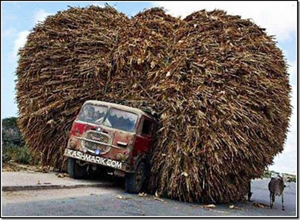 transporte de mercancias cosasdivertidas (9)