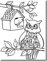 buhos blogcolorear (9)