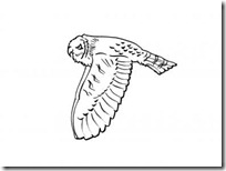 buhos blogcolorear (18)