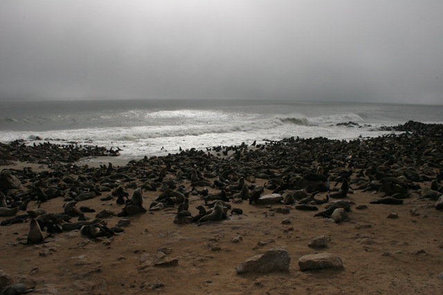[IMG_03572.jpg]