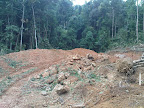 Area Pertambangan