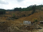 Area Pertambangan