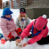 _MG_7992.JPG
