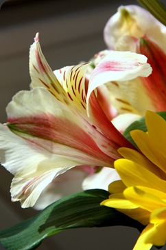 IMG_6607