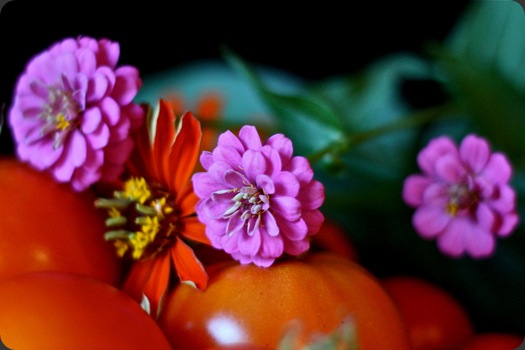 IMG_7005 IMG_7005