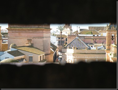 DSCN1932