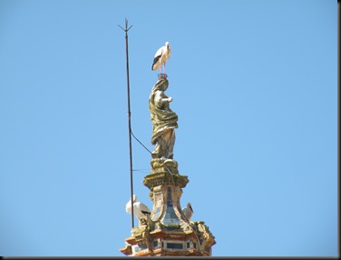 DSCN2400