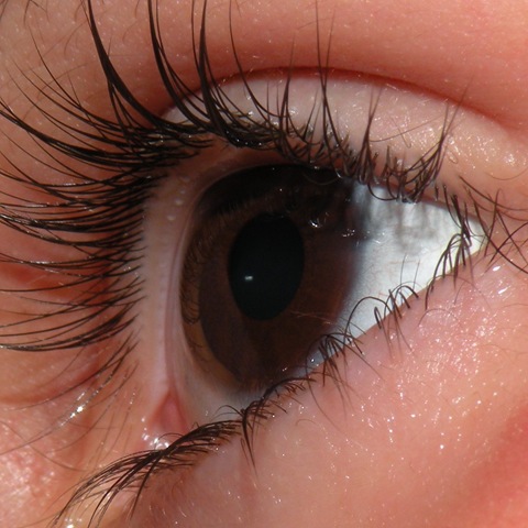 [mirada2[4].jpg]