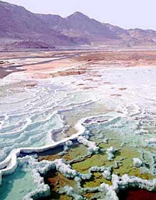 Salt the Dead Sea