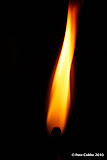 burning_match_120310_img-027.jpg