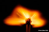 burning_match_110310_img-014.jpg