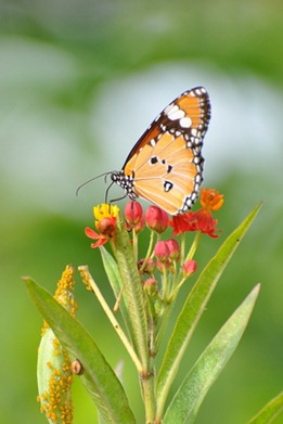 DSC_9360 DSC_9360