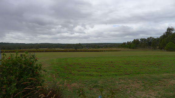 P1010047.JPG