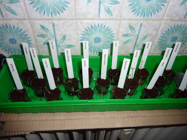 P1050056.JPG