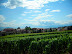 ...avec vue sur le lac Léman