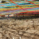 DSC_3597.JPG