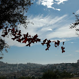 DSC_3955.JPG