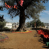 DSC_4490.JPG