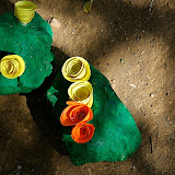 DSC_4485.JPG