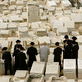 DSC_1953.JPG