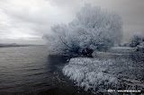 _DSC3184.jpg