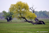 DSC_0186.jpg