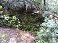 2009-10-18 11.51.29.jpg (San Lorenzo Park, California, United States) Photo 2009-10-18 11.51.29.jpg (San Lorenzo Park, California, United States) Photo