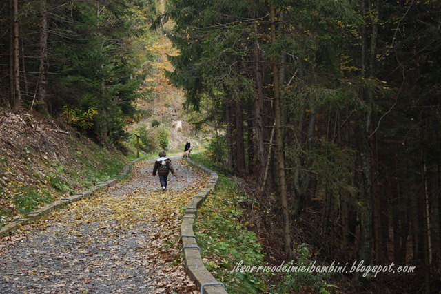 IMG_1746 IMG_1746
