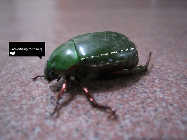 [IMG_08415.jpg]