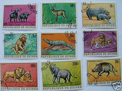Guinée, animaux africains