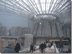 200910291437_391