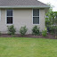 ElizaK28's Backyard Foundation garden