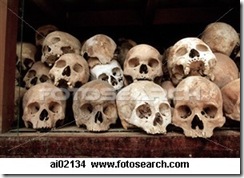 human skulls 1