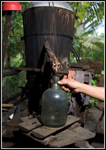 [6a00d8341c509553ef00e551cf6ba68834-800wi[4].jpg]