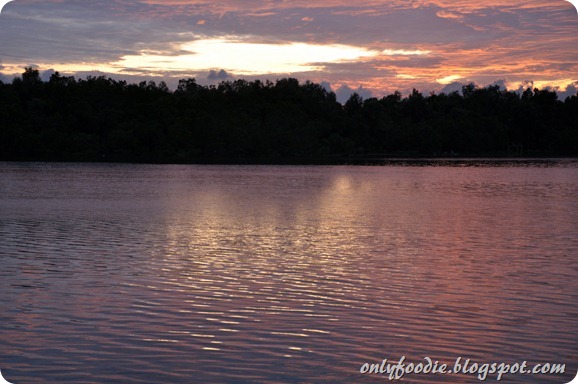 DSC_0528 DSC_0528