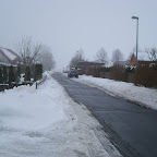 SL705108.JPG