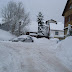 SL705094.JPG