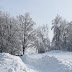 IMG_6674.JPG
