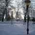 SL705169.JPG
