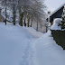 SL705174.JPG