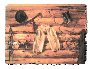 Log Cabin Backdrop