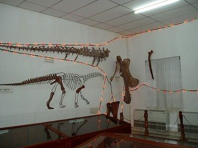恐竜博物館ン－ちゃちな電飾で恐竜を表現