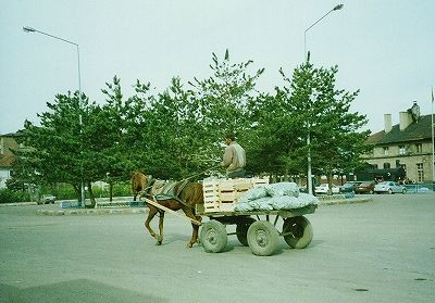 長閑なエルズレムの街b