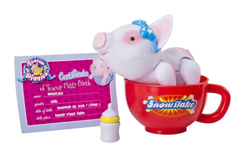 Teacup Piggies Teacup Piggies