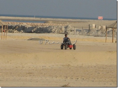 IMG_0512 IMG_0512