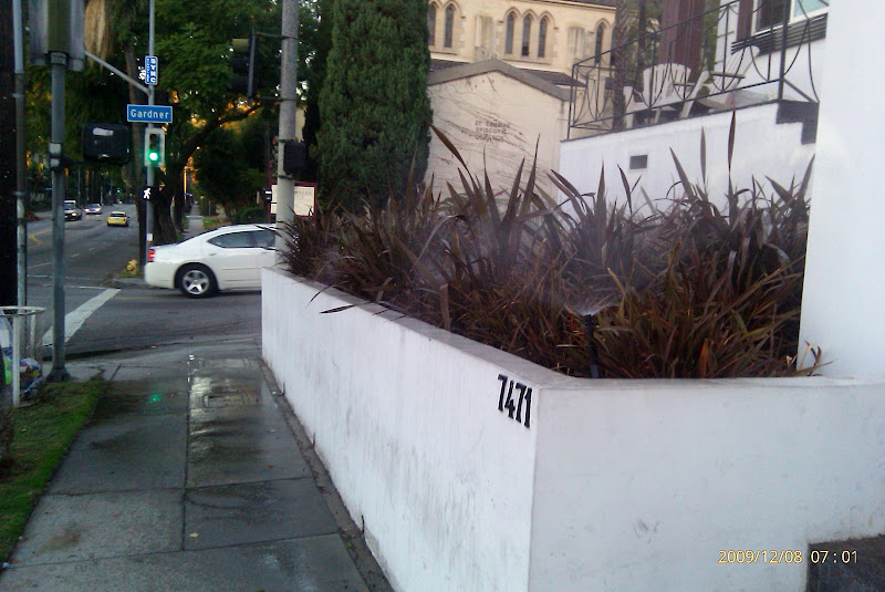 7471 Hollywood Blvd
